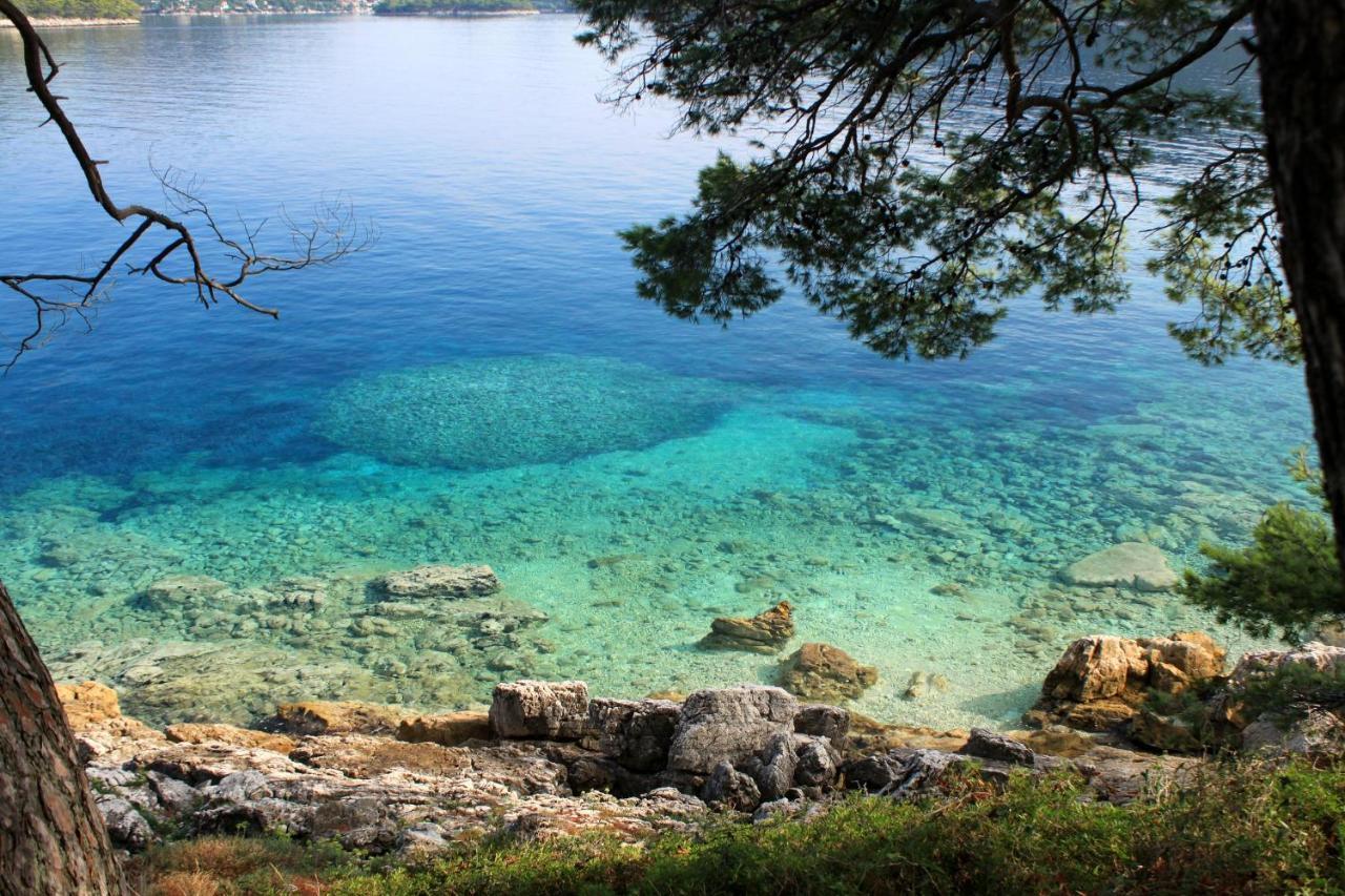 Apartments By The Sea Ubli, Lastovo - 8354 Eksteriør bilde