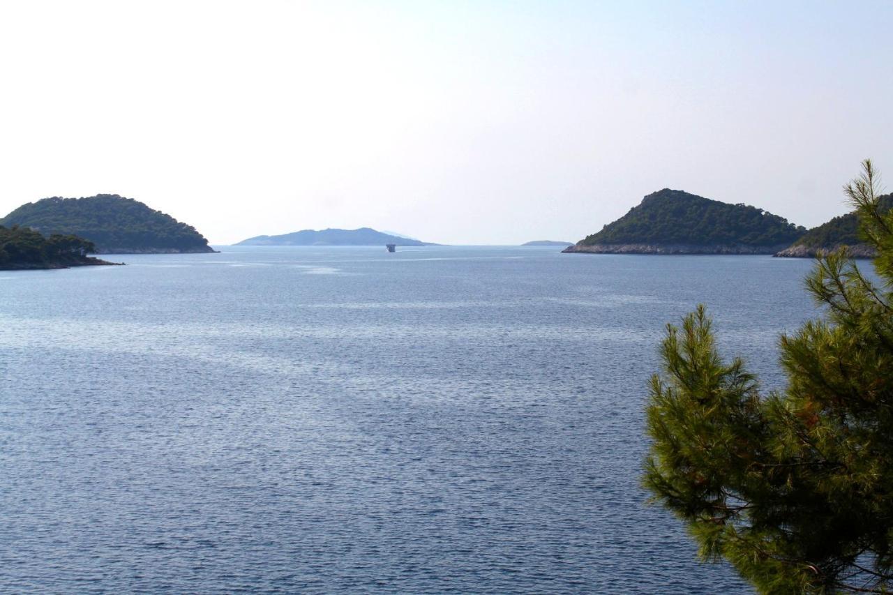 Apartments By The Sea Ubli, Lastovo - 8354 Eksteriør bilde